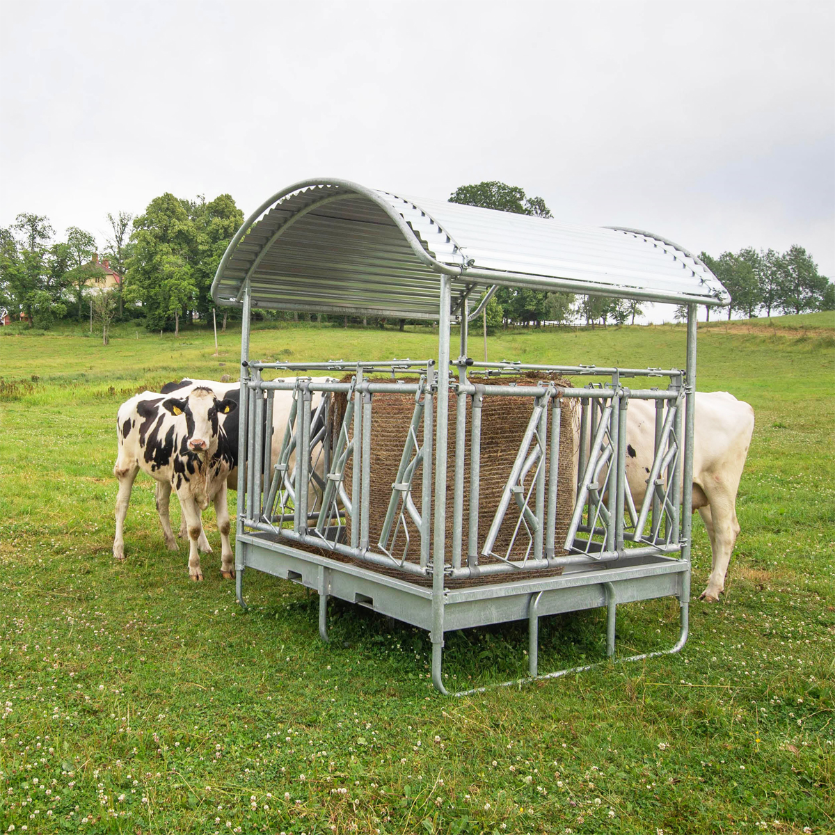 Roofed feeder, galvanised and with selflocking headgates for cattle